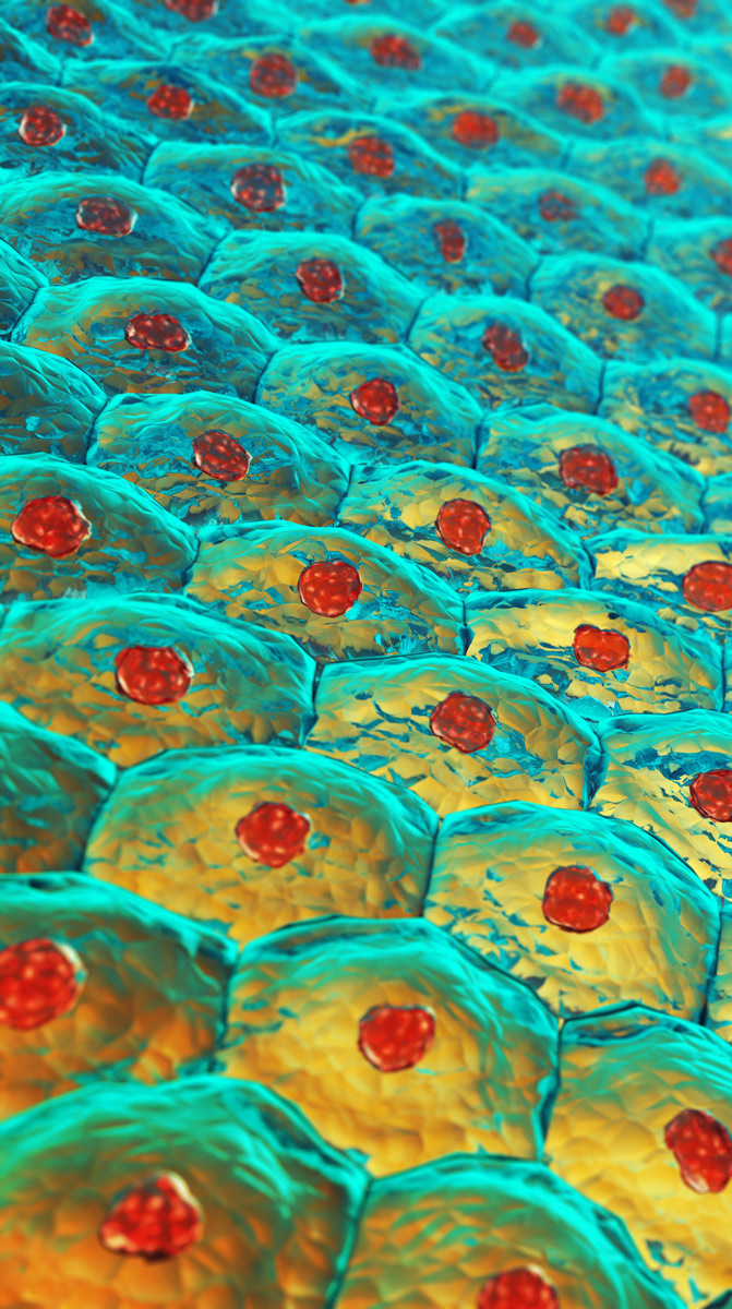 Enfermedades-en-las-que-puede-ayudar-la-BI(G)MED