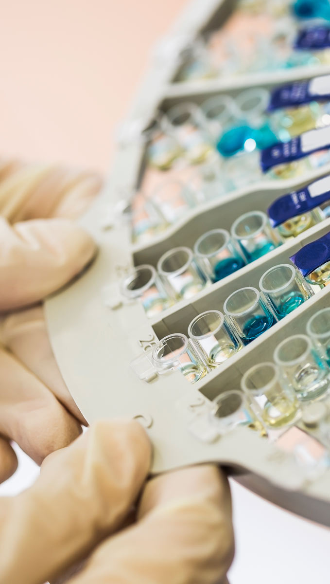 La-microbiota-es-el-conjunto-