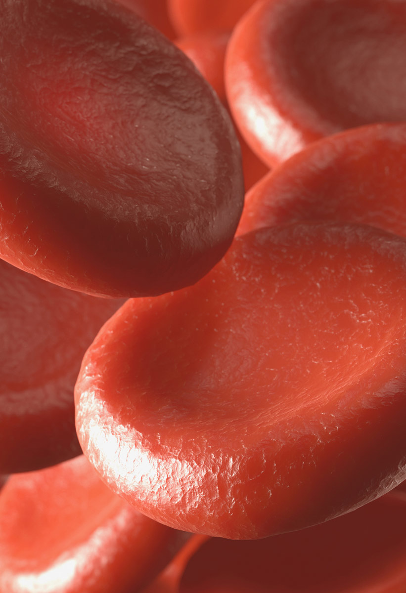 causas-de-las-enfermedades-hematologicas