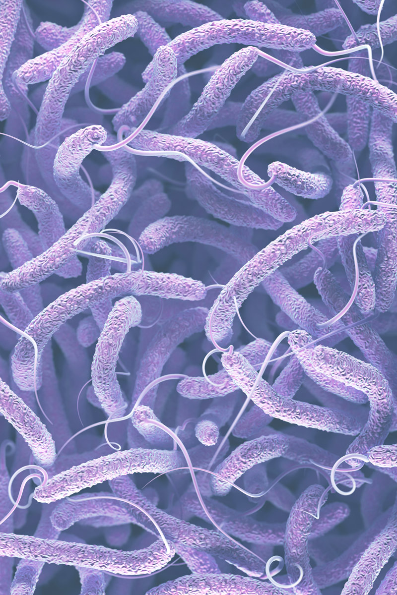 enfermedades-infecciosas-mas-comunes