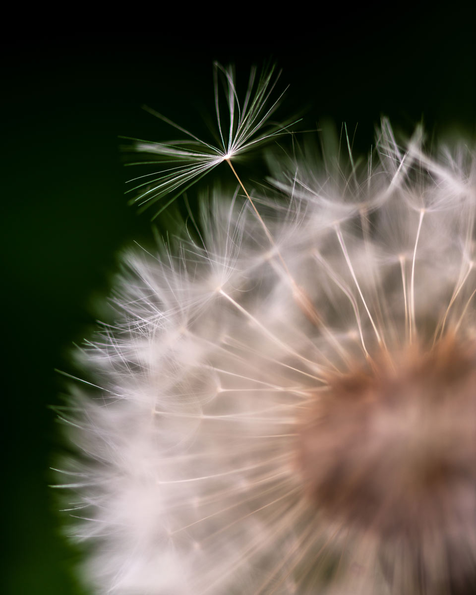 causas-de-las-alergias