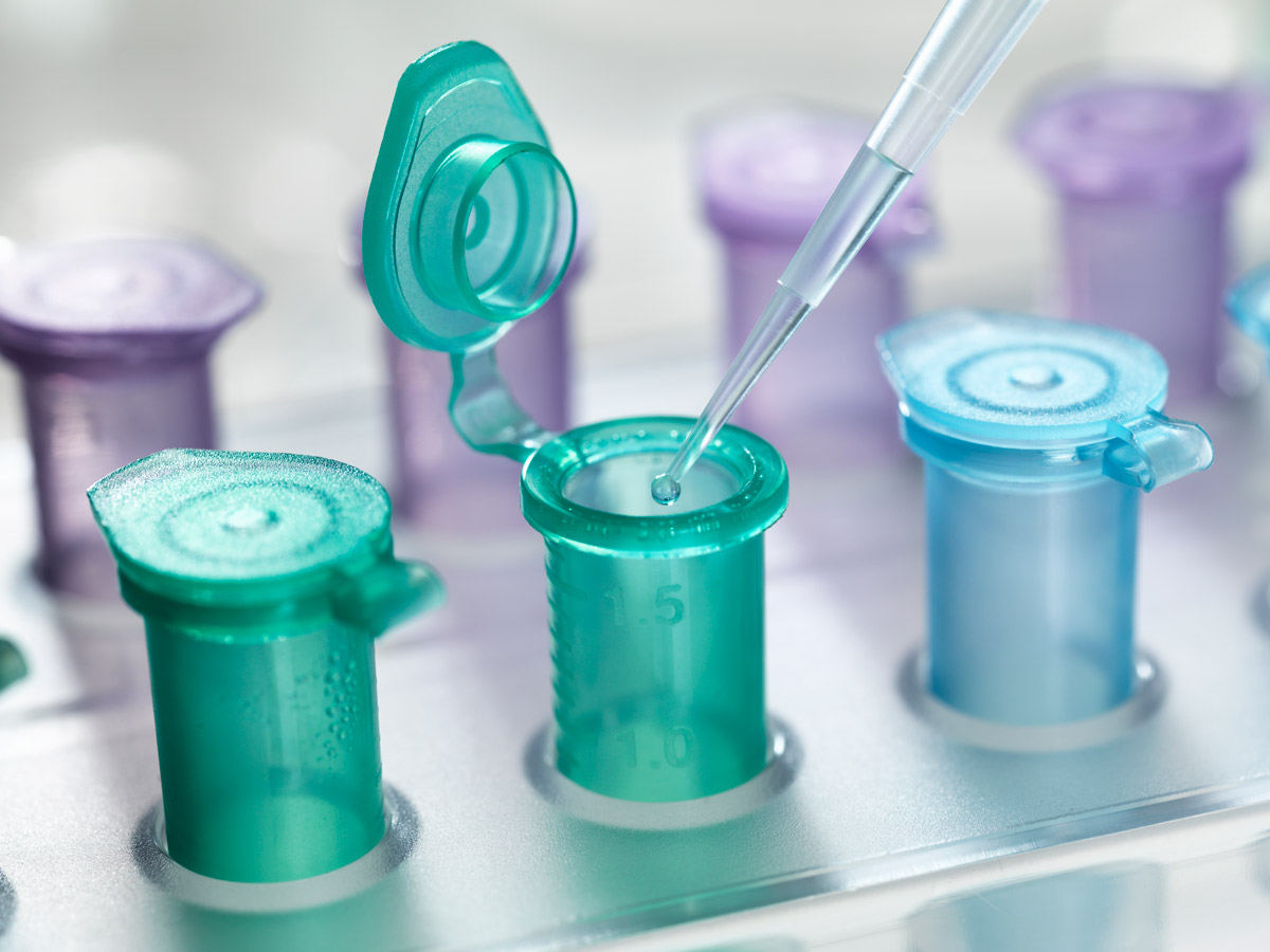 test-diagnostico-bases-terapeuticas Test diagnóstico bases terapeúticas